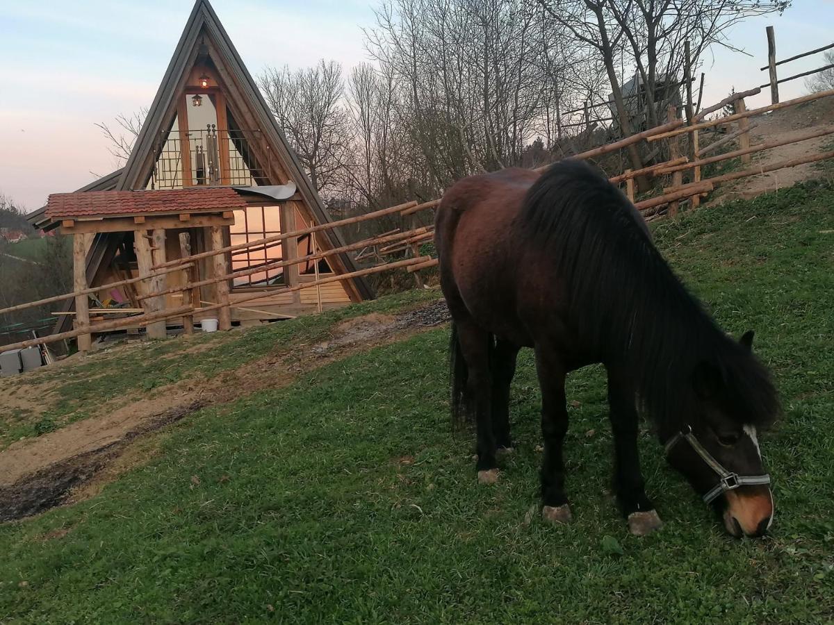 Hostal Ranch At Geta Razgorce Exterior foto