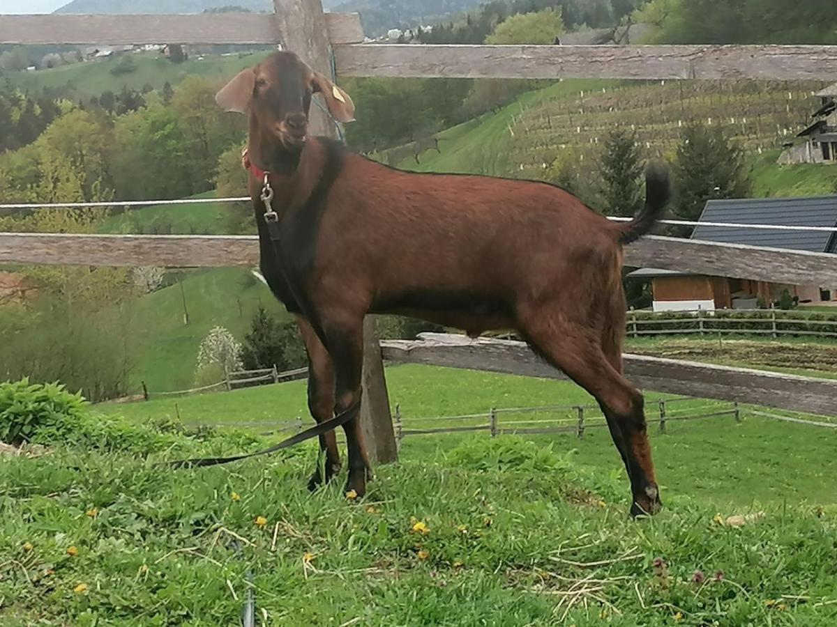Hostal Ranch At Geta Razgorce Exterior foto